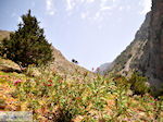 Vanaf Agia Roumeli naar de Samaria kloof | Chania Kreta | Griekenland