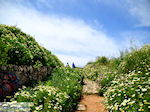 Wandeling tot op de Schiavo vesting  | Chania stad | Kreta