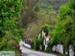Traditioneel dorp Deliana | Chania Kreta | Foto 3