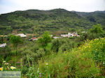 Traditioneel dorp Deliana | Chania Kreta | Foto 13