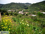 Traditioneel dorp Deliana | Chania Kreta | Foto 14
