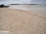 Zandstrand Elafonisi (Elafonissi) | Chania Kreta | Foto 6