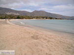 Zandstrand Elafonisi (Elafonissi) | Chania Kreta | Foto 10