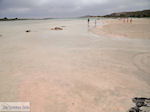 Zandstrand Elafonisi (Elafonissi) | Chania Kreta | Foto 16