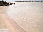 Zandstrand Elafonisi (Elafonissi) | Chania Kreta | Foto 31