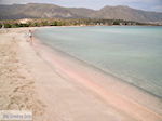 Zandstrand Elafonisi (Elafonissi) | Chania Kreta | Foto 33