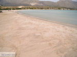 Zandstrand Elafonisi (Elafonissi) | Chania Kreta | Foto 35