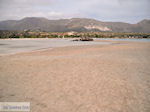 Zandstrand Elafonisi (Elafonissi) | Chania Kreta | Foto 36