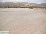 Zandstrand Elafonisi (Elafonissi) | Chania Kreta | Foto 37