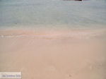 Zandstrand Elafonisi (Elafonissi) | Chania Kreta | Foto 38