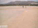 Zandstrand Elafonisi (Elafonissi) | Chania Kreta | Foto 41