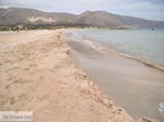 Zandstrand Elafonisi (Elafonissi) | Chania Kreta | Foto 42