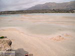 Zandstrand Elafonisi (Elafonissi) | Chania Kreta | Foto 44