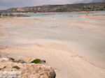 Zandstrand Elafonisi (Elafonissi) | Chania Kreta | Foto 45