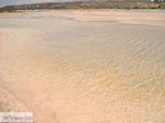 Zandstrand Elafonisi (Elafonissi) | Chania Kreta | Foto 58