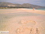 Zandstrand Elafonisi (Elafonissi) | Chania Kreta | Foto 59