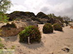 Zandstrand Elafonisi (Elafonissi) | Chania Kreta | Foto 61