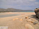 Zandstrand Elafonisi (Elafonissi) | Chania Kreta | Foto 62
