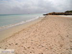 Zandstrand Elafonisi (Elafonissi) | Chania Kreta | Foto 66