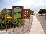 Zandstrand Elafonisi (Elafonissi) | Chania Kreta | Foto 77