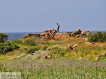 Oud Falassarna (Falasarna) Chania Kreta | Griekenland | Foto 27