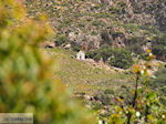 Falassarna (Falasarna) Chania Kreta | Griekenland | Foto 28