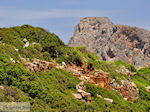 Oud Falassarna (Falasarna) Chania Kreta | Griekenland | Foto 32