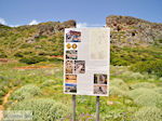 Oud Falassarna (Falasarna) Chania Kreta | Griekenland | Foto 37