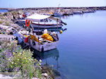 Vissershaventje Kolymbari (Kolimbari) foto 3 | Chania Kreta | Griekenland