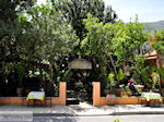 Archanes Kreta | Griekenland | De Griekse Gids foto 11