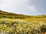 Archanes Kreta | Griekenland | De Griekse Gids foto 16