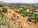 Festos Kreta |Phaestos | De Griekse Gids foto 23