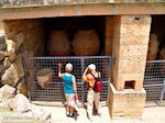 Knossos Kreta | Griekenland | De Griekse Gids foto 19