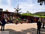 Knossos Kreta | Griekenland | De Griekse Gids foto 29