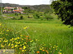 Lassithi vlakte Kreta | Griekenland | De Griekse Gids foto 32