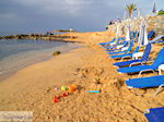 Malia Kreta | Griekenland | De Griekse Gids foto 39