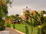 Malia Kreta | Griekenland | De Griekse Gids foto 47