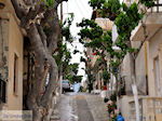 Mirtos Kreta | Griekenland | De Griekse Gids foto 4