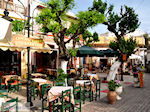 Mochos Kreta | Griekenland | De Griekse Gids foto 3