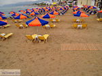 Stalis Kreta | Griekenland | De Griekse Gids foto 11