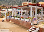 Stalis Kreta | Griekenland | De Griekse Gids foto 30