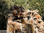 Zaros Kreta | Griekenland | De Griekse Gids foto 18