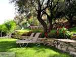 Zaros Kreta | Griekenland | De Griekse Gids foto 19