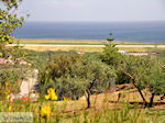 Maleme | Chania Kreta | Foto 15