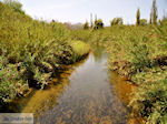 De rivier in Platanias  | Chania | Kreta