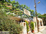 Taverna Matigis in Stalos  | Chania | Kreta
