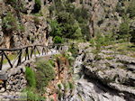 Samaria Kloof | Kreta | Griekenland foto 8