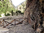 Samaria Kloof | Kreta | Griekenland foto 26