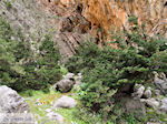 Samaria Kloof | Kreta | Griekenland foto 29