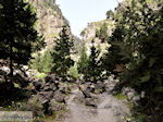 Samaria Kloof | Kreta | Griekenland foto 30